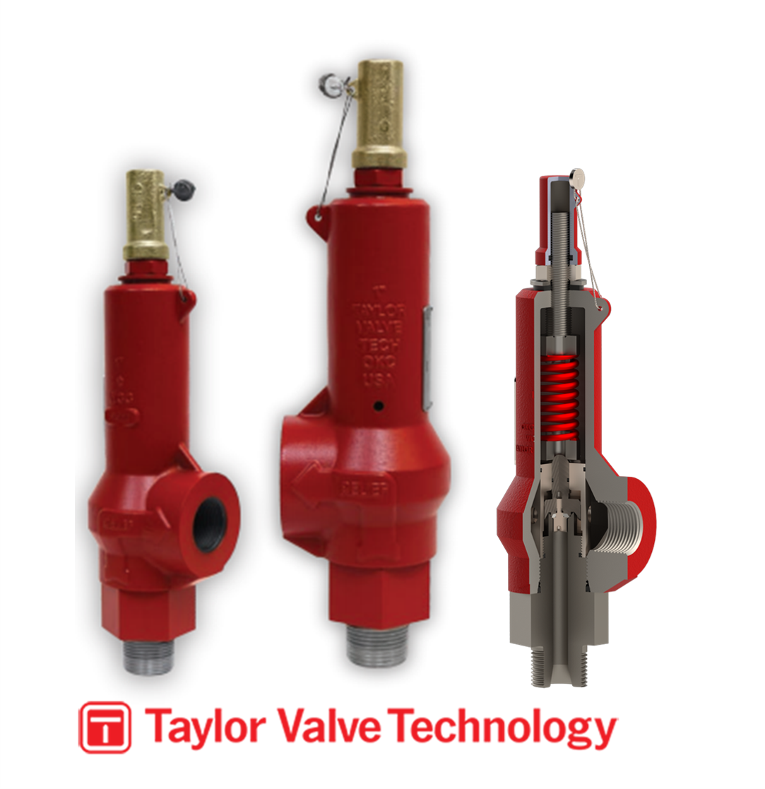 Taylor valve 19